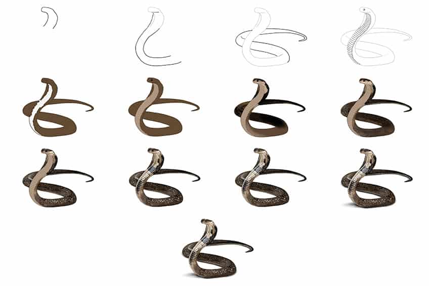 Snake Drawing Collage