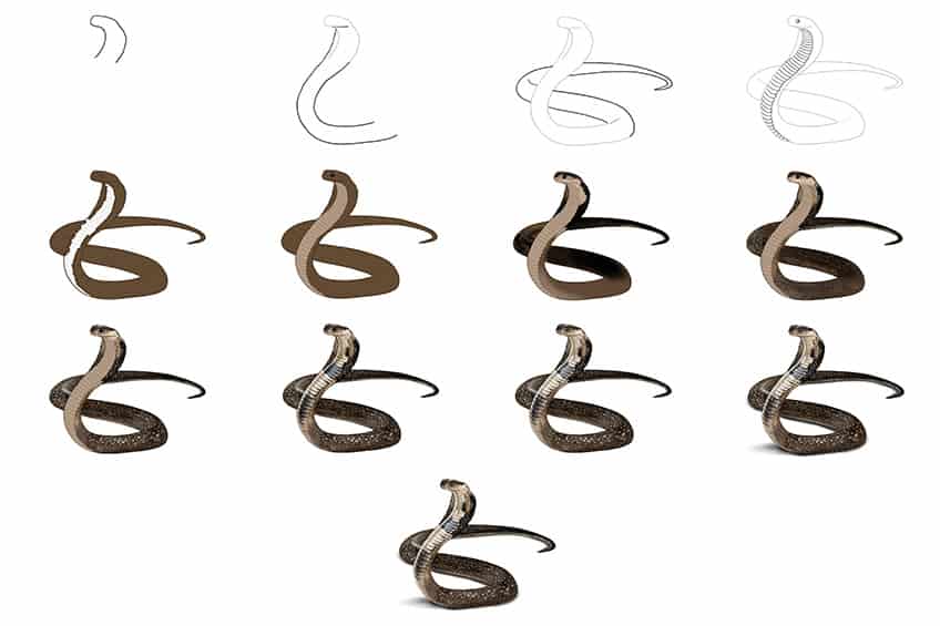 easy drawings of snakes