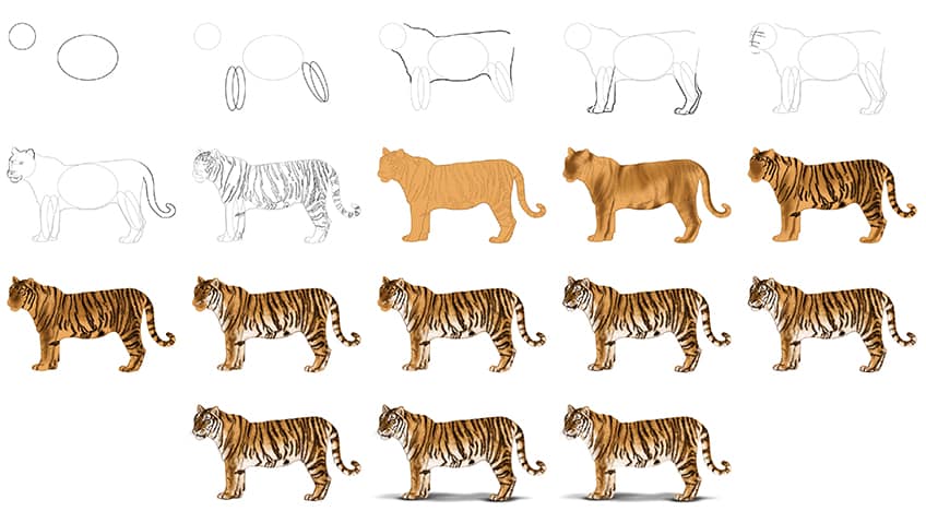 how to draw a realistic tiger for kids