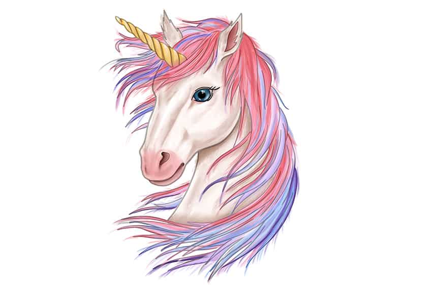 Unicorn Sketch 16