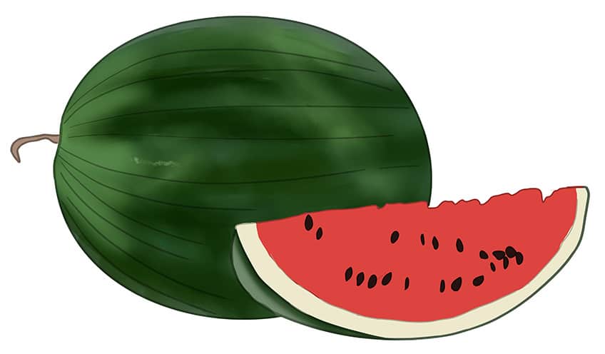 Watermelon Drawing 07