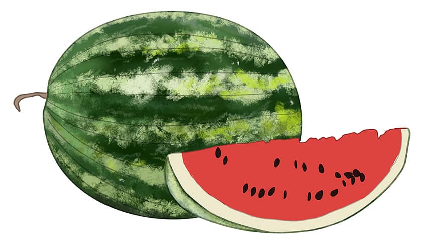 Watermelon Drawing 08
