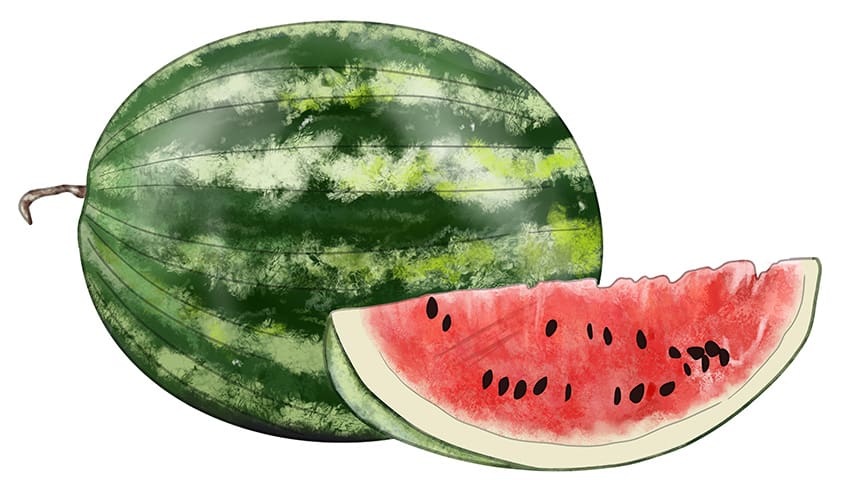 Watermelon Drawing 10