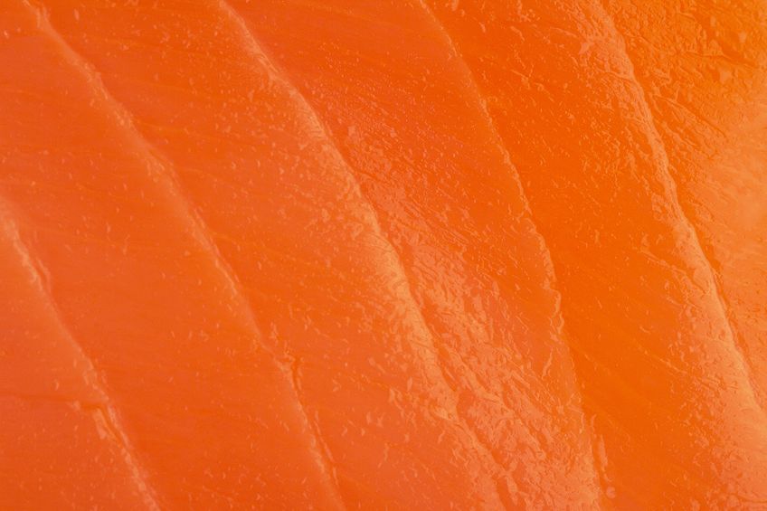 What Color Goes With Salmon