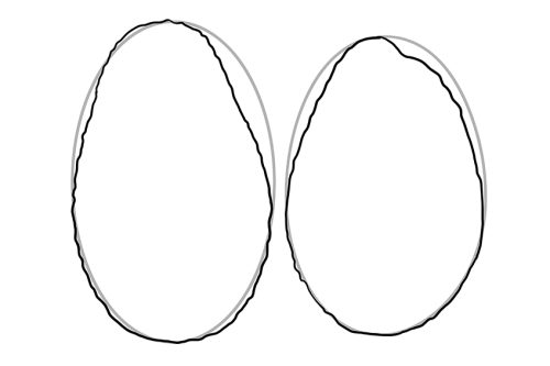 How to Draw an Avocado - Create a Delicious Avocado Drawing