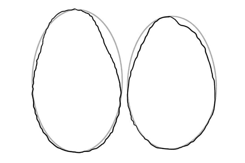 Avocado Drawing 02