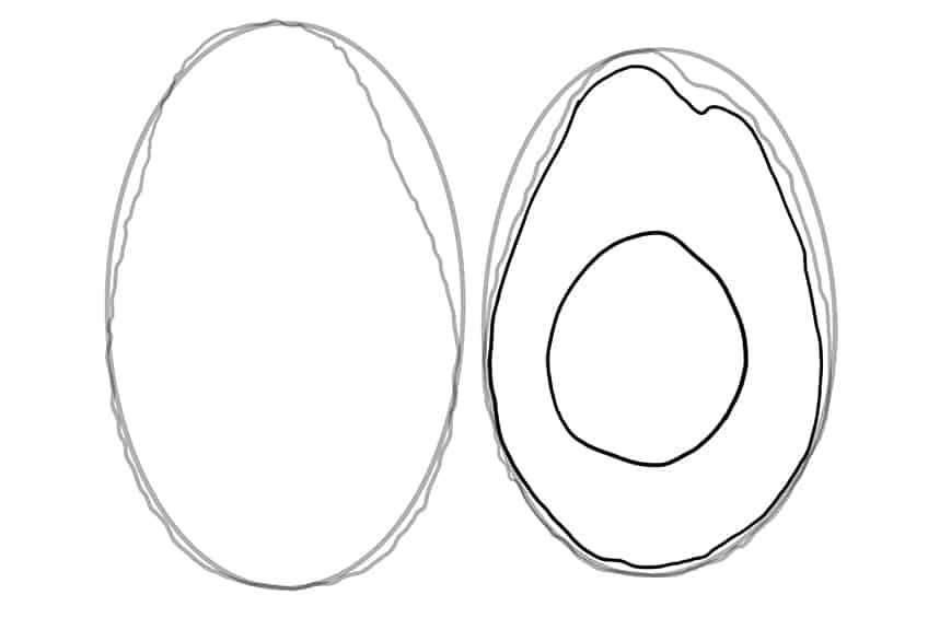 Avocado Drawing 03