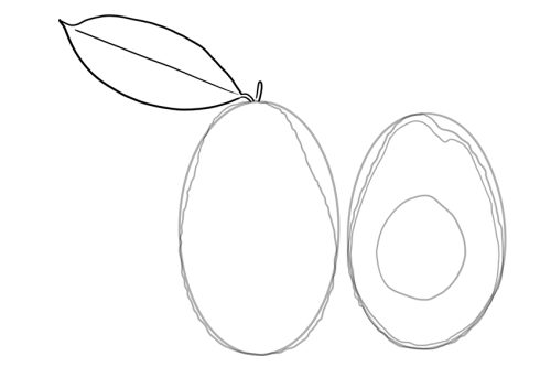 How to Draw an Avocado - Create a Delicious Avocado Drawing