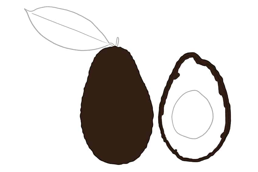 Avocado Drawing 05