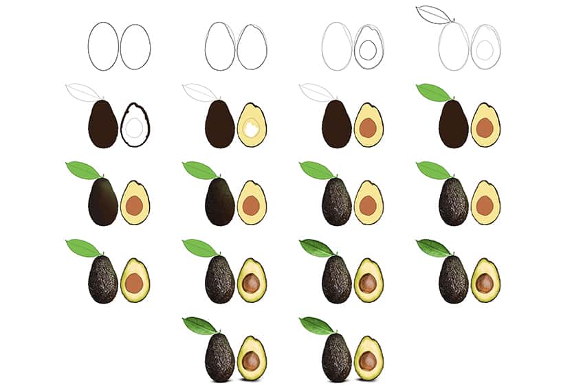 Avocado Drawing Collage