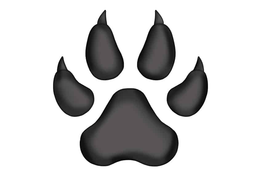 Paw print shape  Coloring pages to print, Paw print drawing, Dog paw tattoo