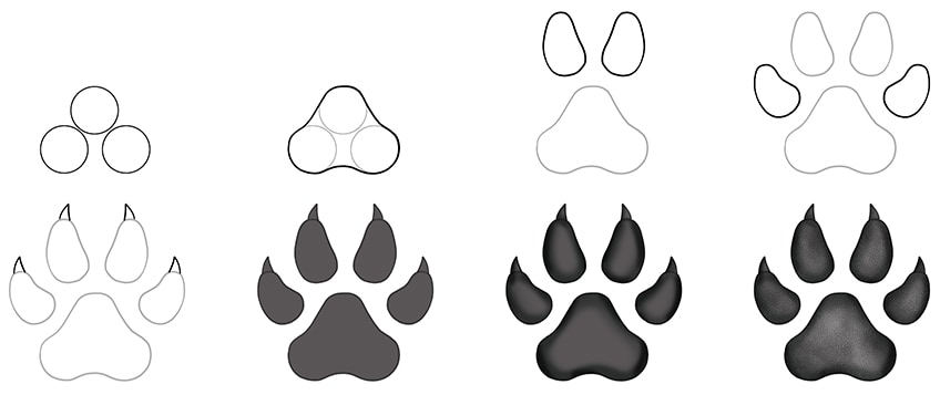 how to draw a panther paw