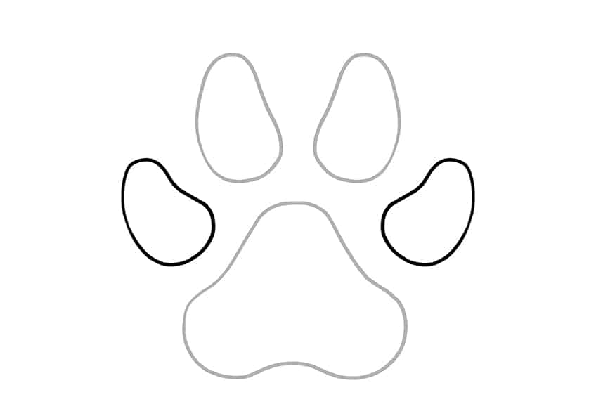 how to draw a panther paw