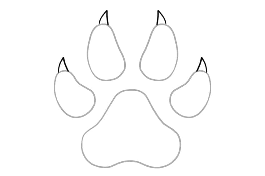 how to draw a panther paw