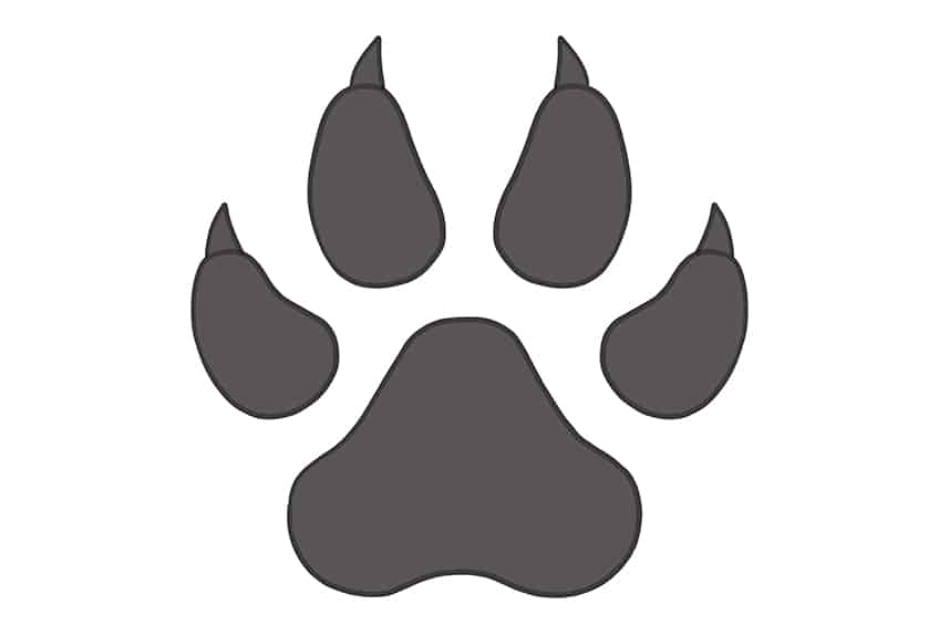 Paw print shape  Coloring pages to print, Paw print drawing, Dog