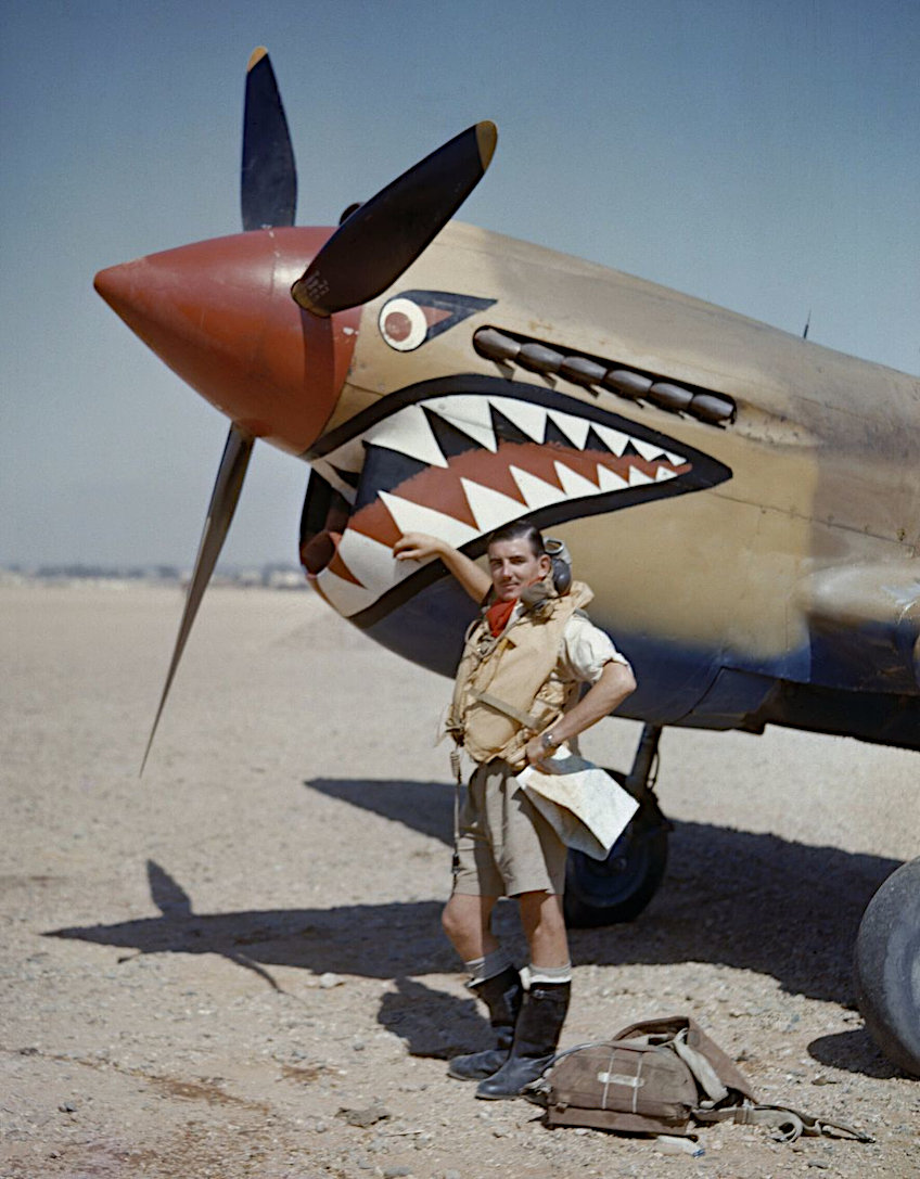 Examples of Aircraft Nose Art