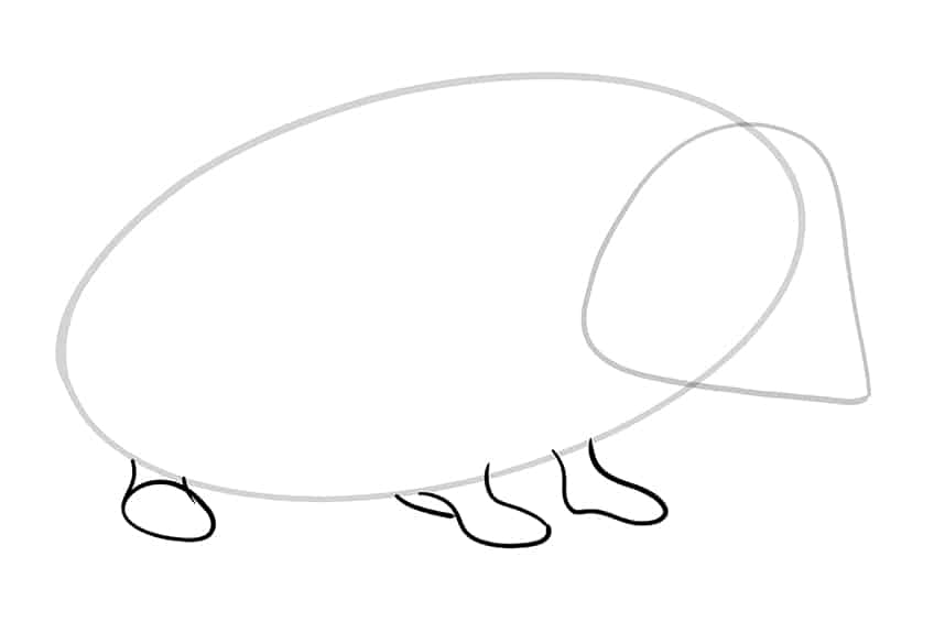 Hedgehog Drawing 03