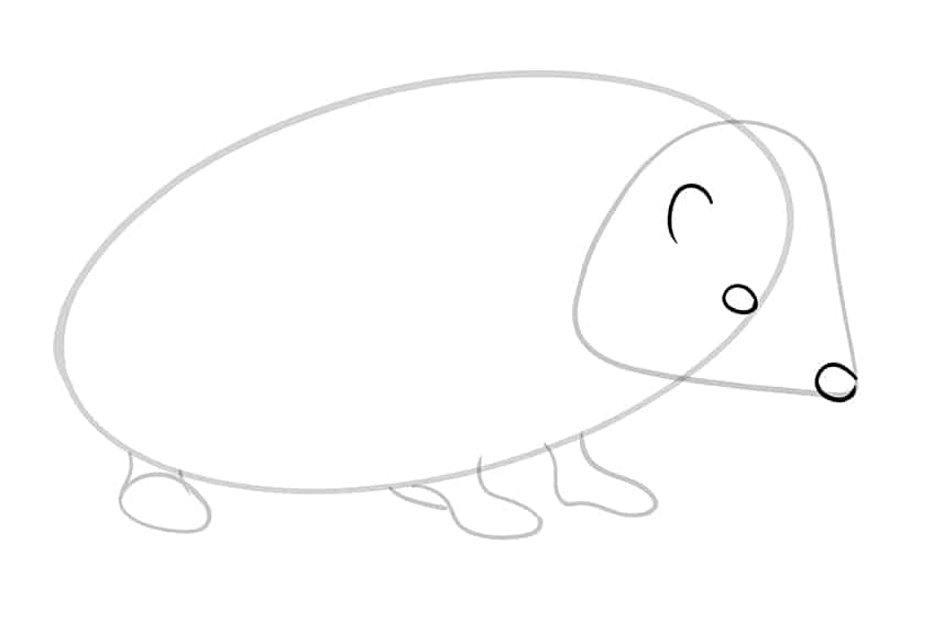Hedgehog Drawing 04
