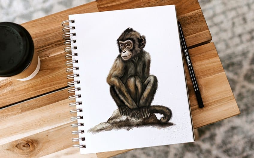 hip hop monkey head illustration sketch 4936849 Vector Art at Vecteezy