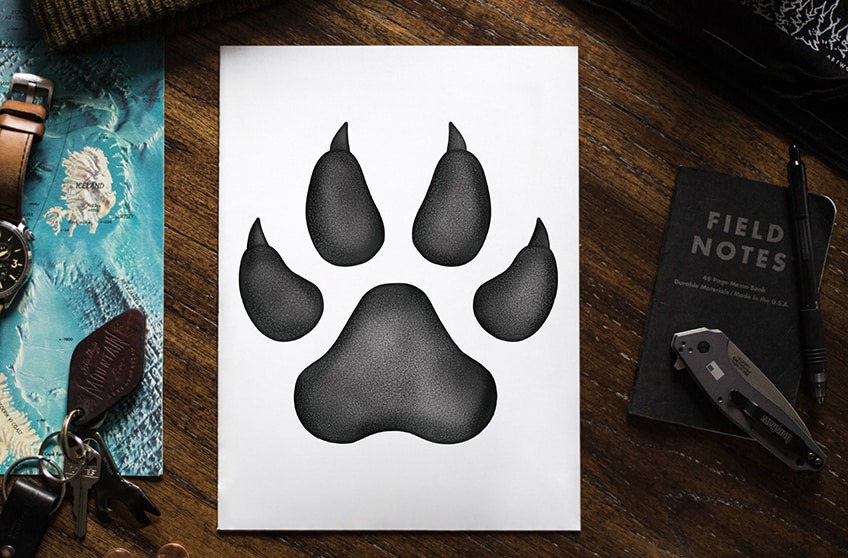 How to Draw a Paw Print