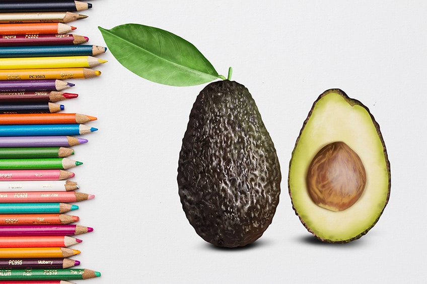 How to Draw an Avocado Create a Delicious Avocado Drawing