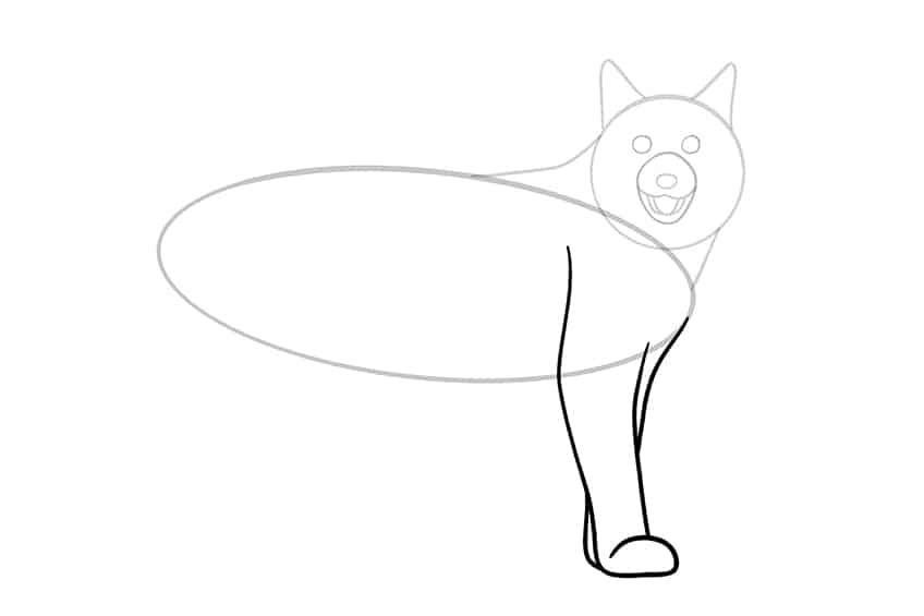 Lynx Drawing 07