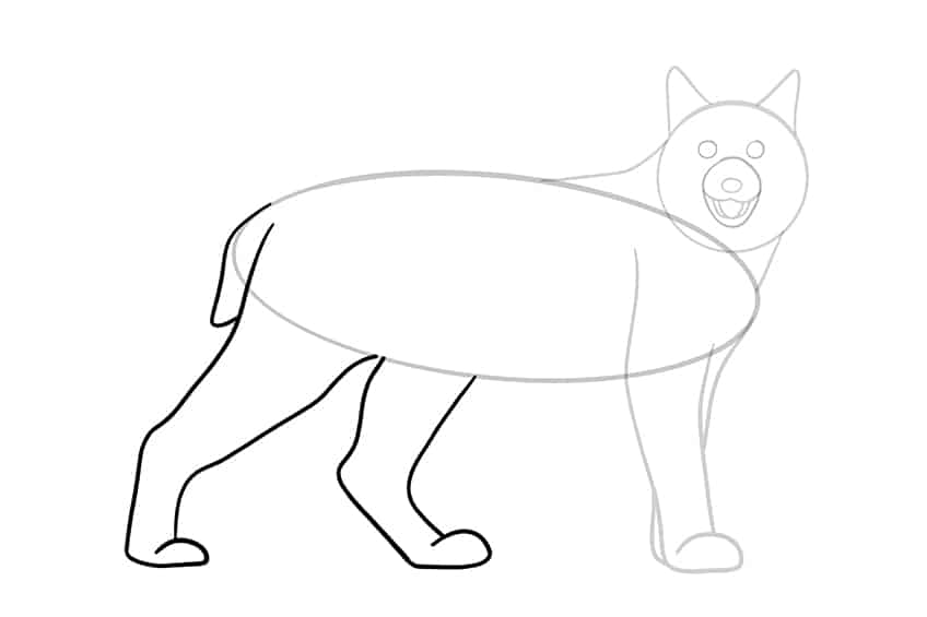 Lynx Drawing 08