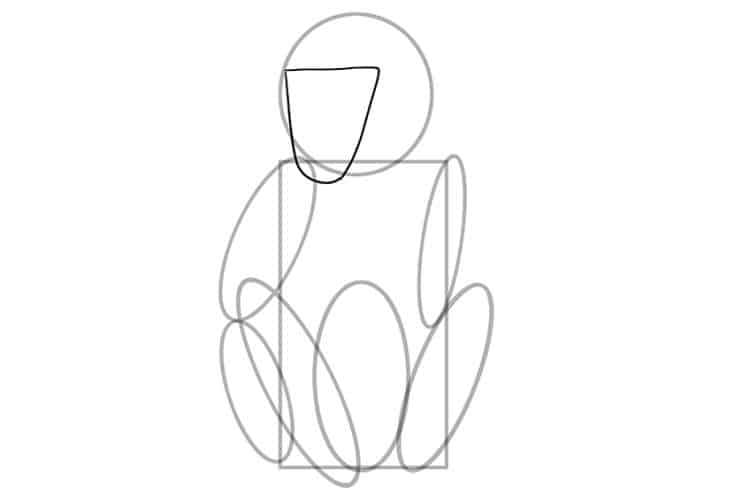 How to Draw a Monkey - Create an Adorable Monkey Drawing