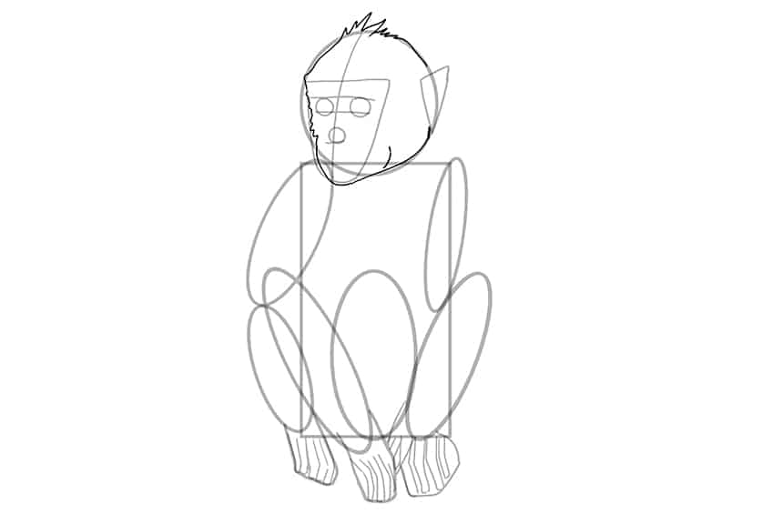 Monkey Drawing 11