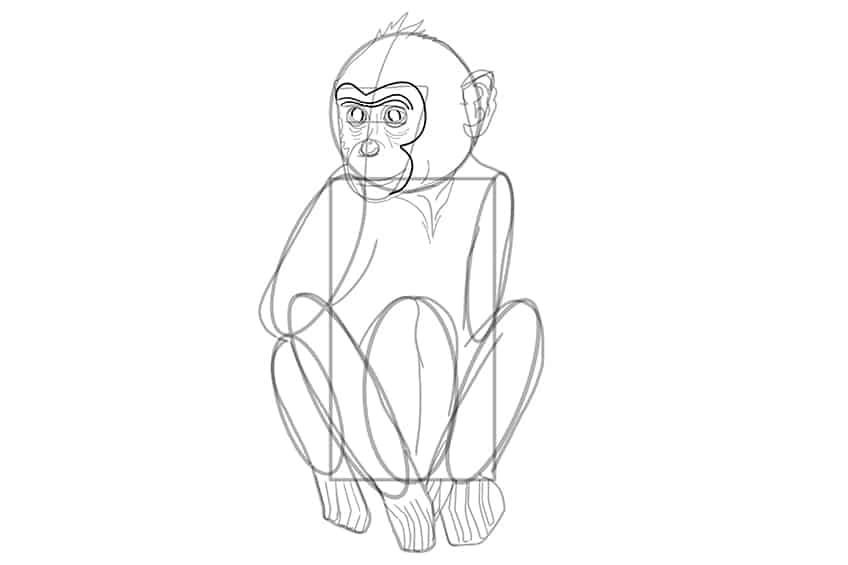 Monkey Drawing 18