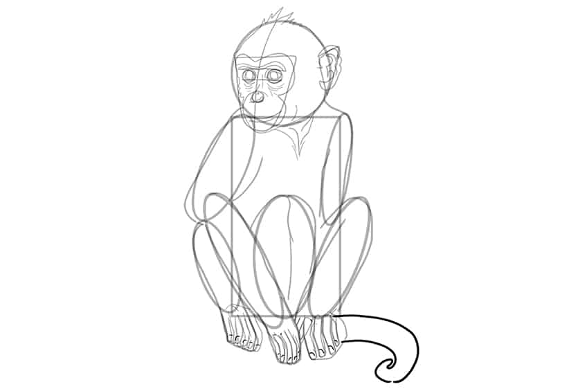 Monkey Drawing 20