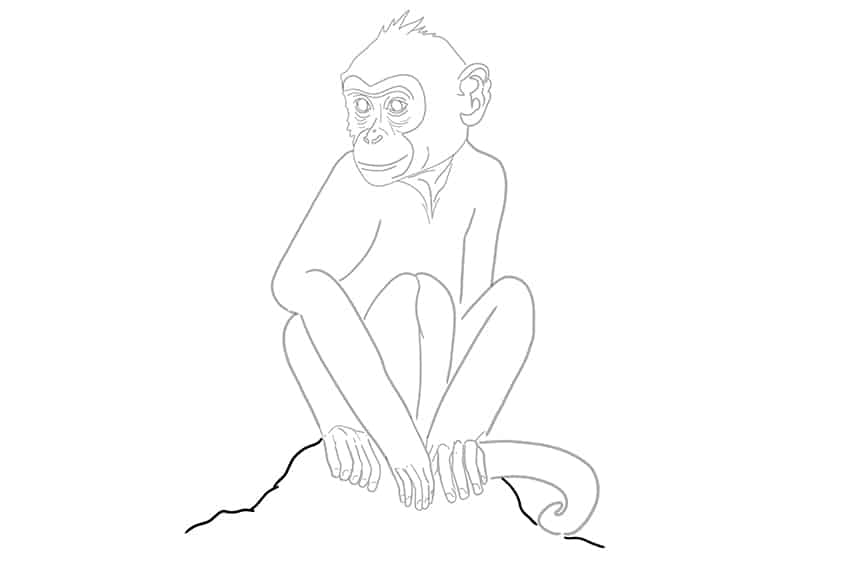 Monkey Drawing 21