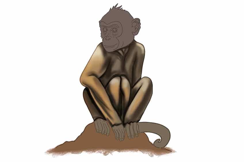 Monkey Drawing 25