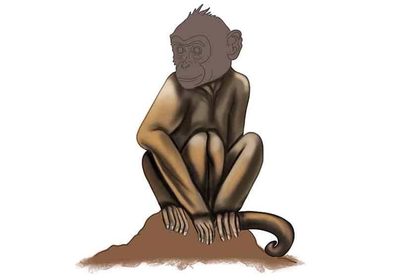 Monkey Drawing 26