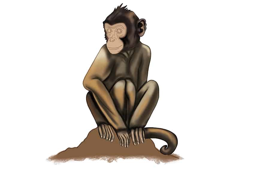 Monkey Drawing 27