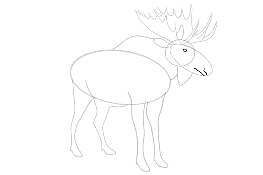 Moose Drawing 09