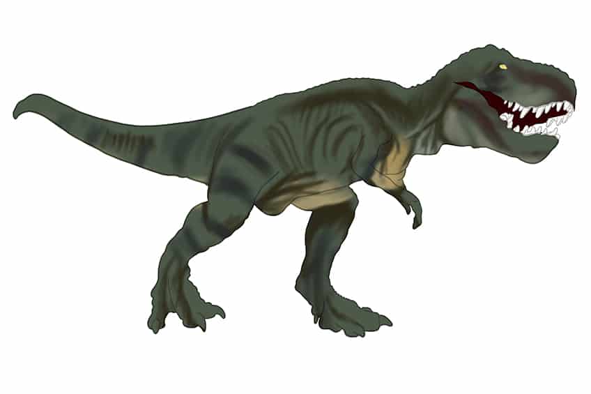 T-Rex Drawing 12