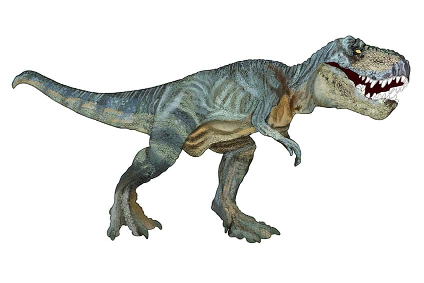 T-Rex Drawing 16