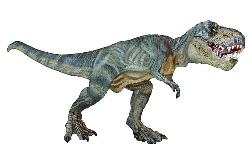 T-Rex Drawing 19