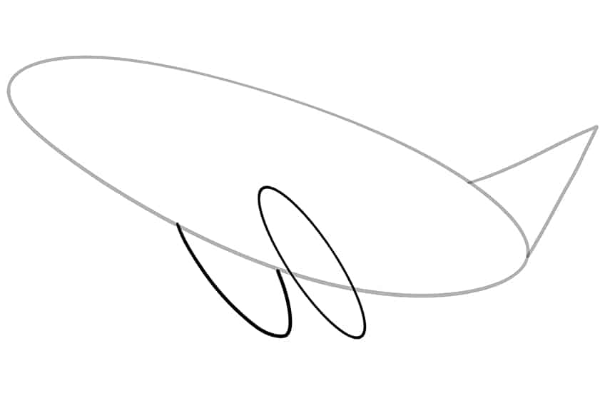 Whale Drawing 03