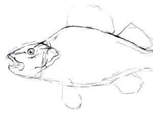 Fish Drawing - An Easy Aquatic Tutorial for Beginners