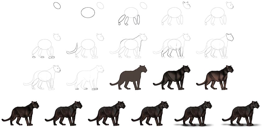 Black Panther Drawing Collage