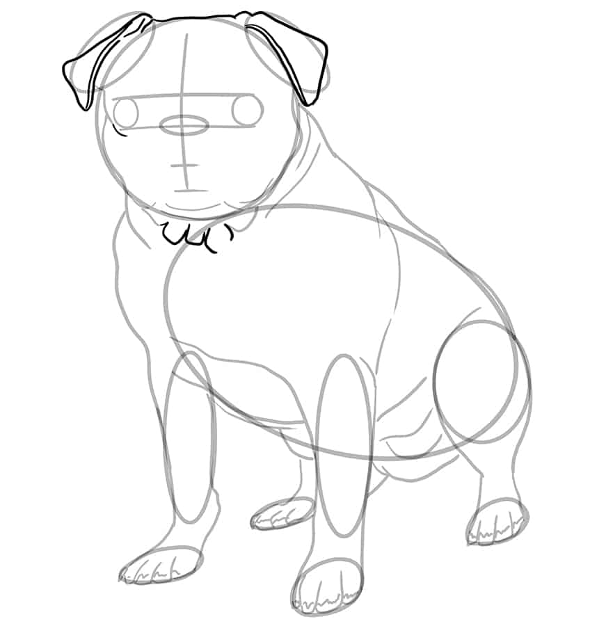 Dog Drawing 11
