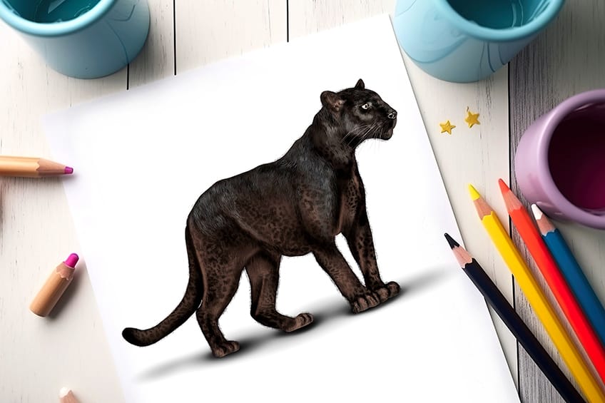 How to Draw a Black Panther