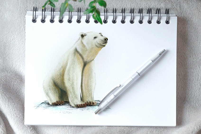 Is adding the Polar Bear Realistic? 