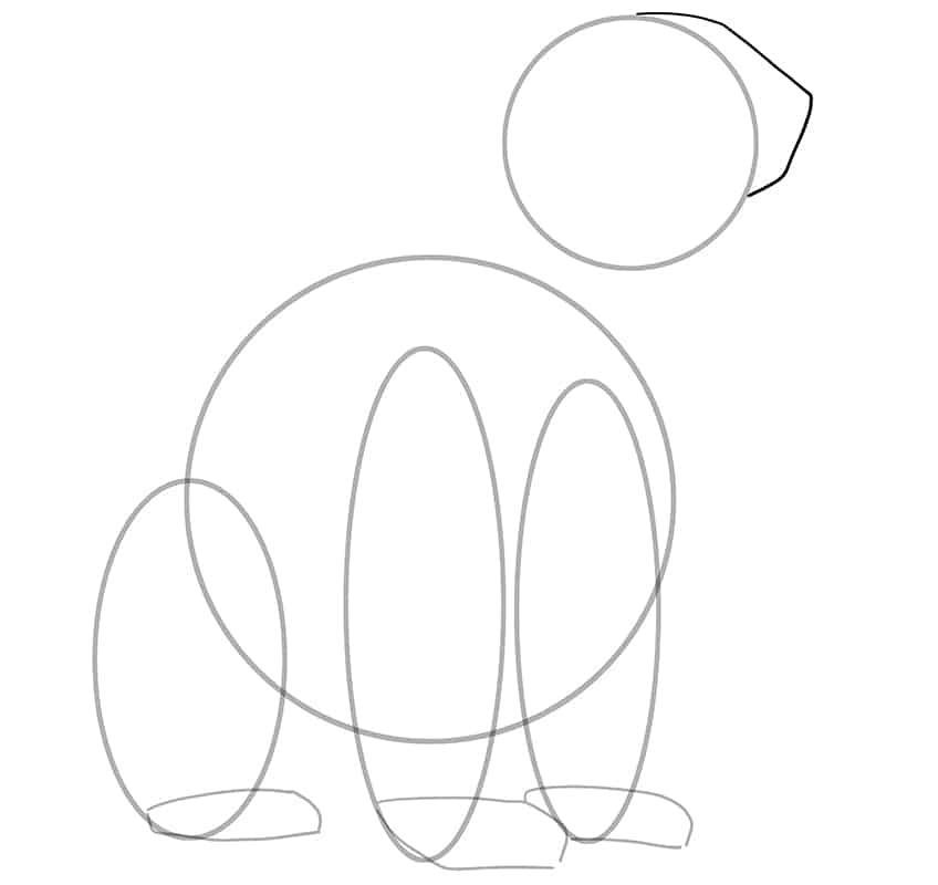Polar Bear Drawing 06