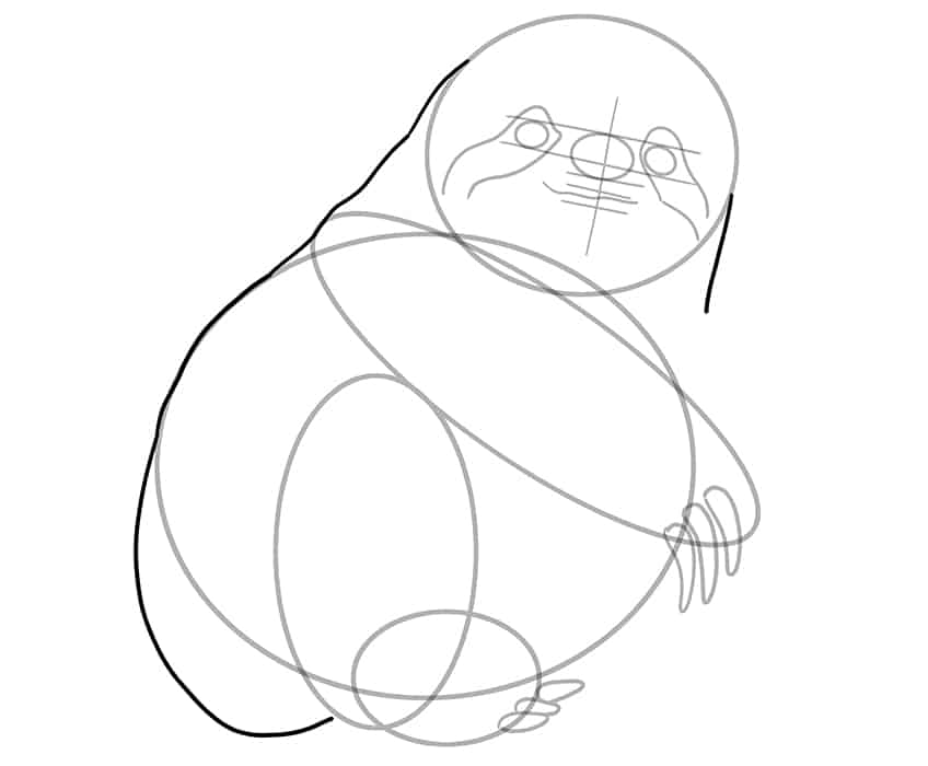 Sloth Drawing 08