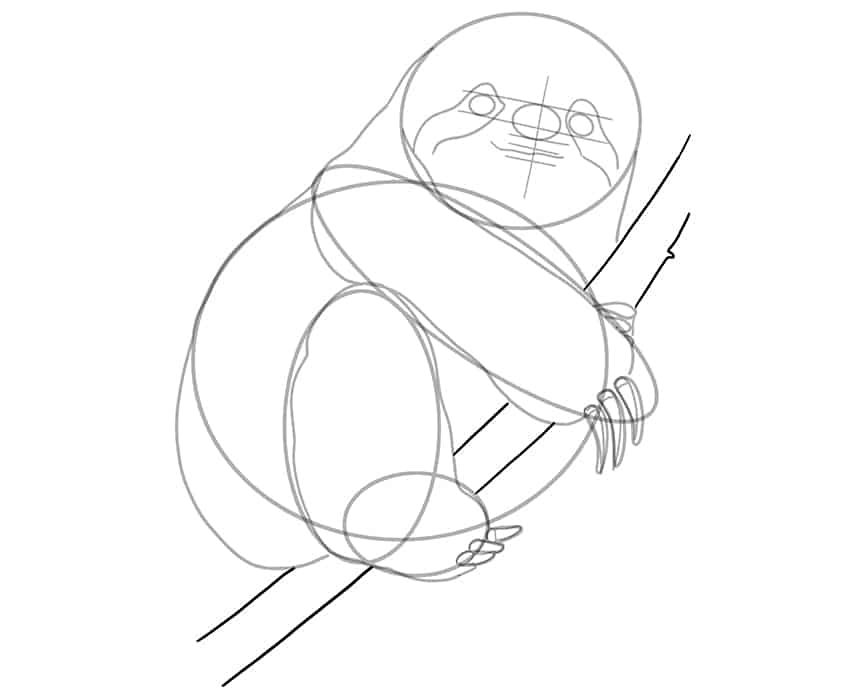 Sloth Drawing 10
