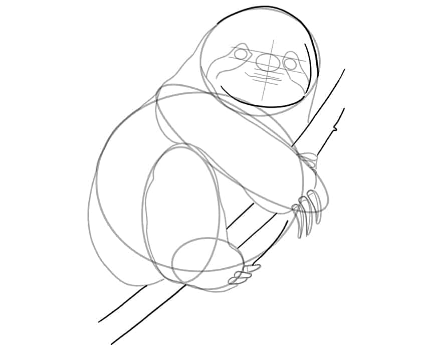Sloth Drawing 11