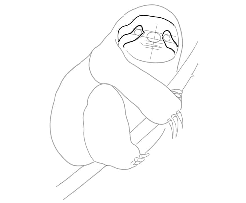 Sloth Drawing 12